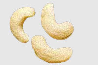 Manufacturers Exporters and Wholesale Suppliers of Cashew Nuts Faridabad Haryana